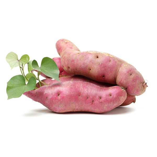 Khoai lang Nhật cực ngon - HNH Food Farm