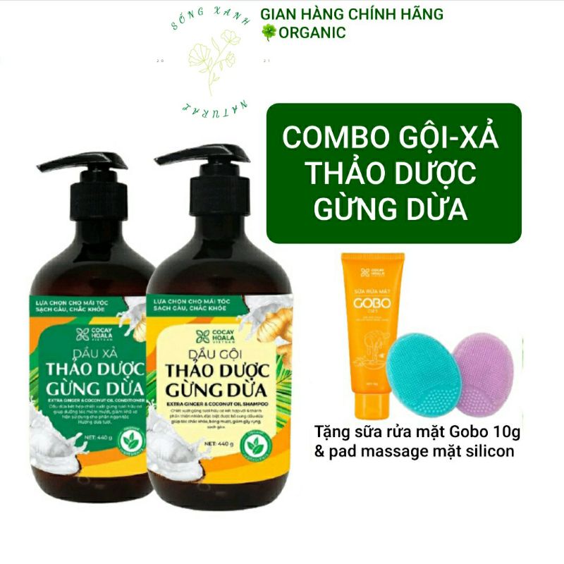 Dầu gội thảo dược Gừng Dừa hữu cơ