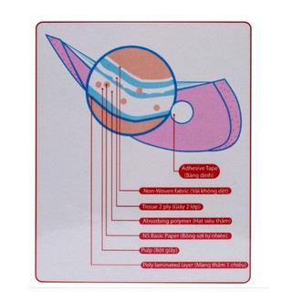 Thấm lót sữa staydry 24 miếng.