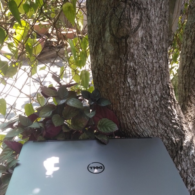 -- latop dell Latitude E6540