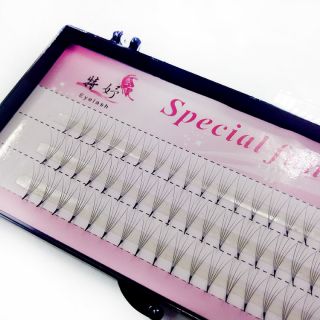 Mi chùm 5D 0.07 form đẹp