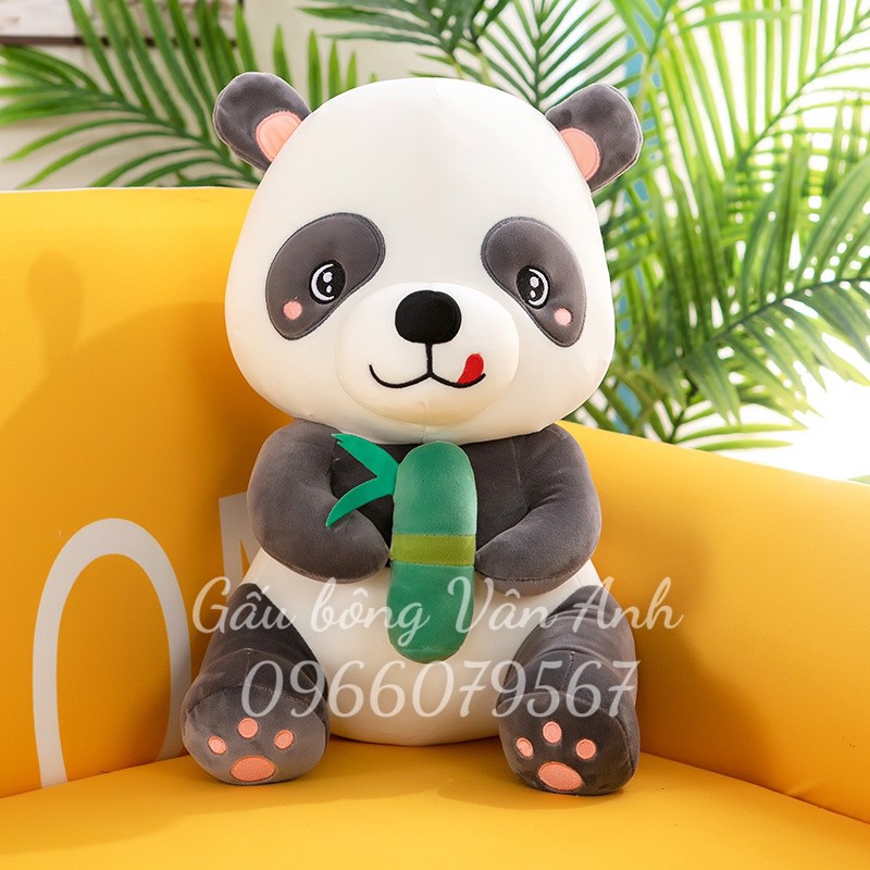 Gấu Bông Gấu Trúc ,Gấu Bông Panda Hàng Nhập Cao Cấp