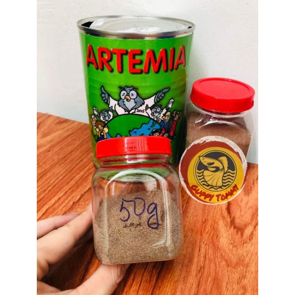 Trứng Atermia Mỹ cú xanh 50g-100g( tỉ lệ nở cao) tặng hút 3ml