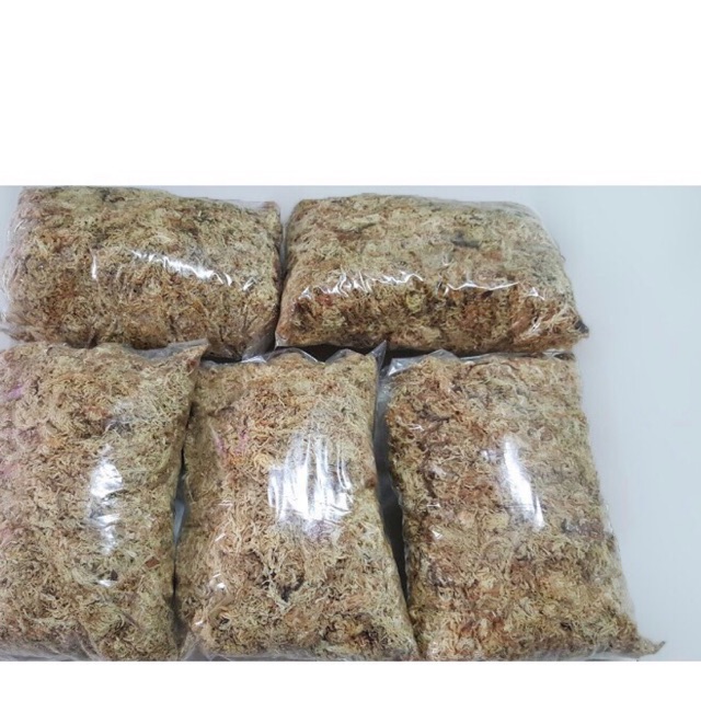 Rêu trắng (dớn mềm) trồng lan 100g