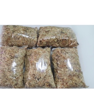 Rêu trắng (dớn mềm) trồng lan 100g