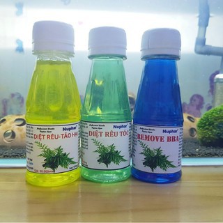 Xử lý rêu, tảo, rêu tóc,...