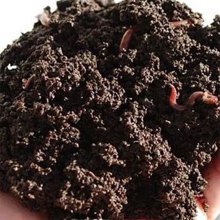 Phân trùn quế(1kg)