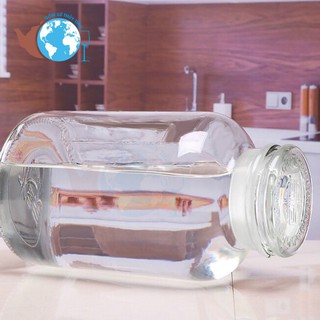 Bình ngâm rượu 50l