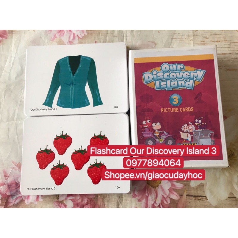 Flashcards  Our Discovery Island 3☘️194 thẻ thiết kế hai mặt bền đẹp💯