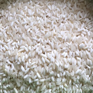 Gạo Nếp Nương-An Food (túi 1kg hút chân không)