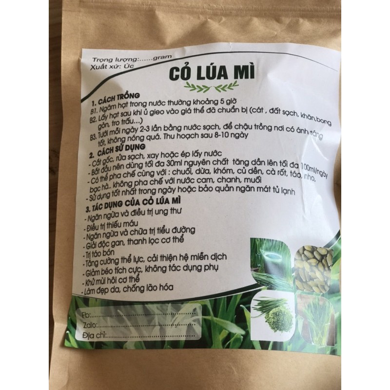 hạt giống cỏ lúa mì úc non gmo( food grade)