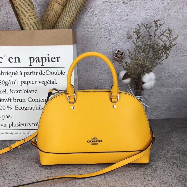 🆘RẺ VÔ ĐỊCH🆘Túi Coach hến