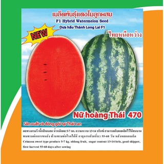 Hạt giống DƯA HẤU KHÔNG HẠT- hiệu GREEN BULL-Thái lan