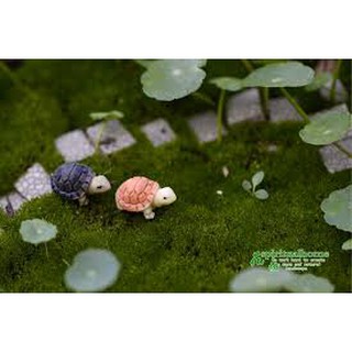 Rùa Đá Mini Phụ Kiện Trang Trí Tiểu Cảnh