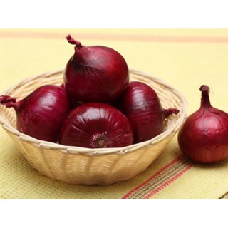 Hạt giống hành tây đỏ nhập khẩu-  chuyên dụng.