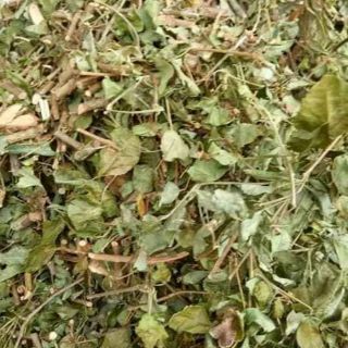 1 kg chè dây ( trà dây) Măng Đen