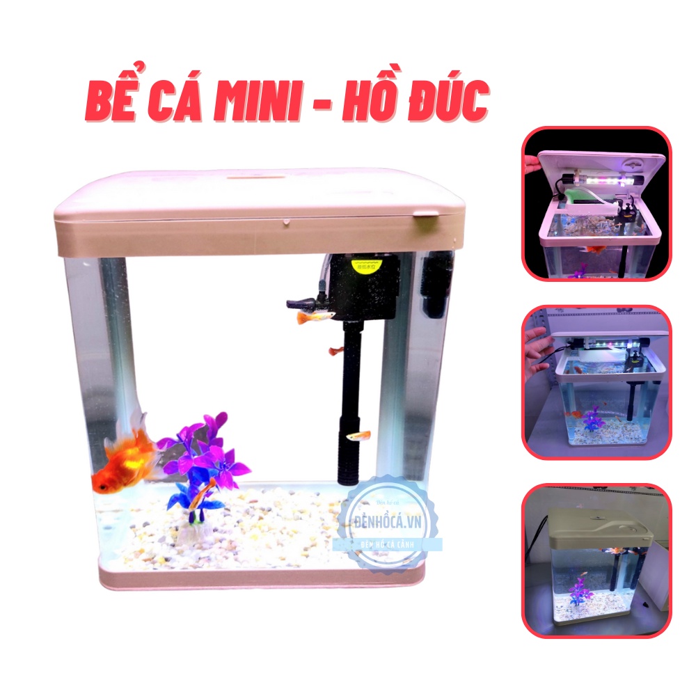 Bể cá mini Đúc nguyên khối combo đầy đủ phụ kiện