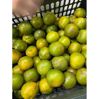 quýt Sài Gòn ngon ngọt