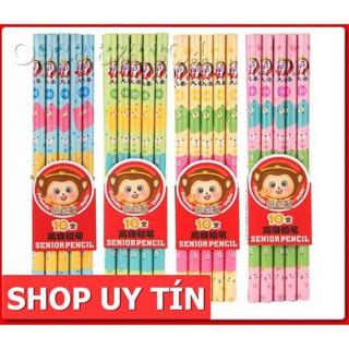Bút chì gỗ hb