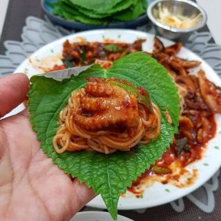 Hạt giống Lá Mè Hàn Quốc