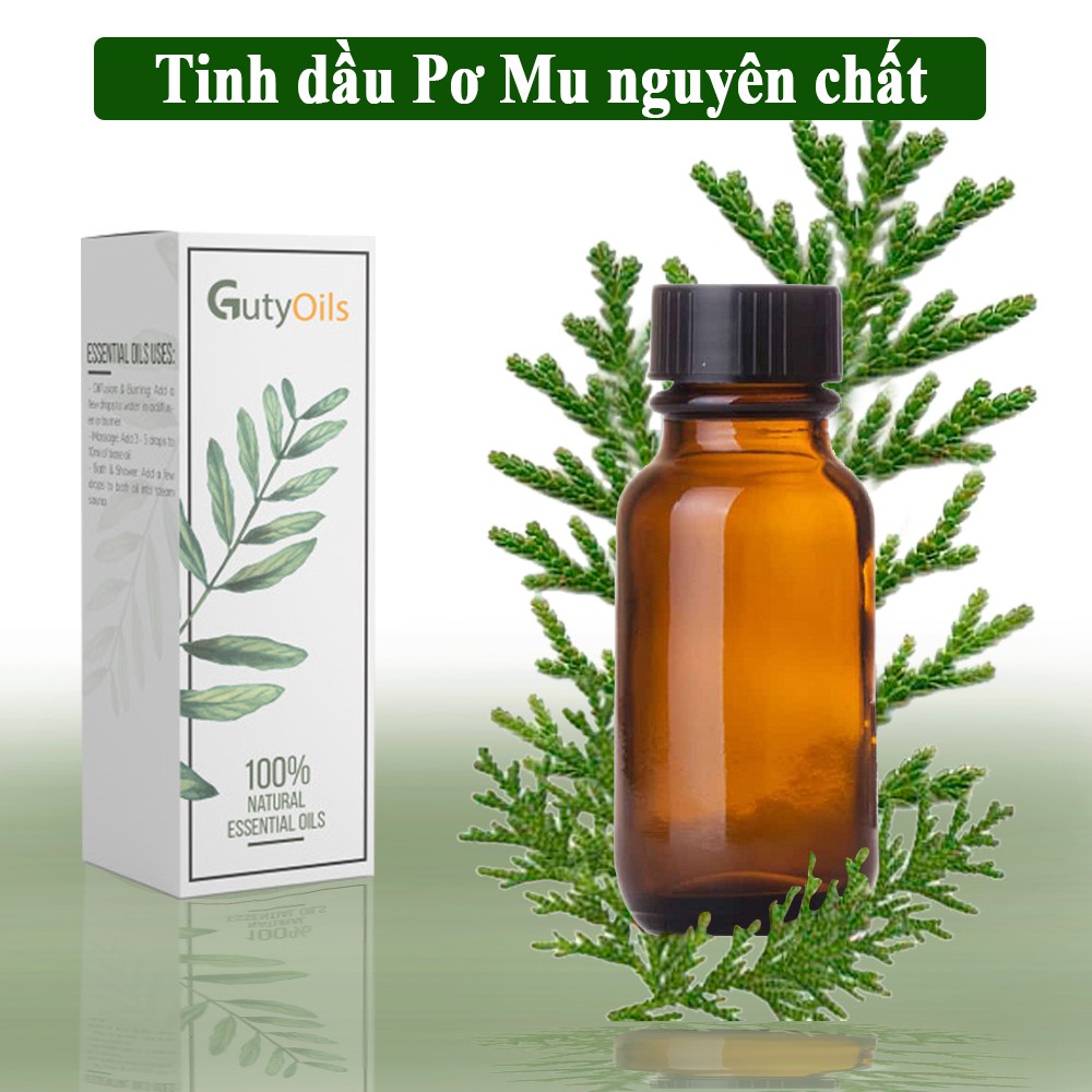 Tinh dầu pơ mu nguyên chất ( Pemou Essential oil ) GUTY