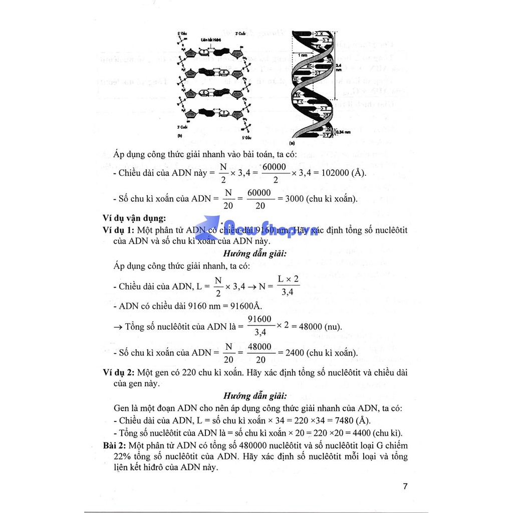 Sách Phương Pháp Mới Giải Nhanh Bài Tập Di Truyền | BigBuy360 - bigbuy360.vn