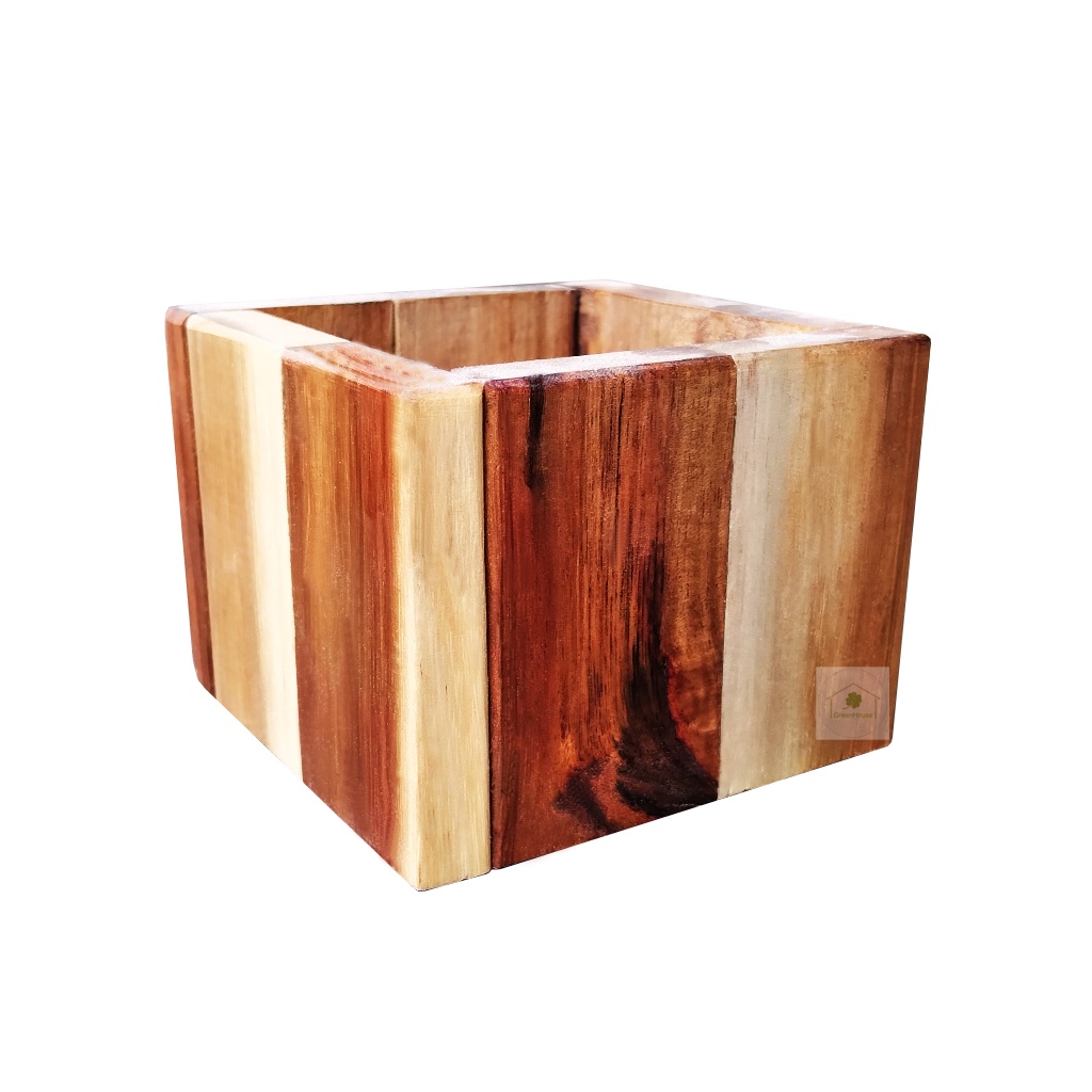 Chậu gỗ trồng sen đá 9x9x7cm Greenhouse