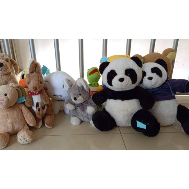 Gấu bông trúc kanggoro chó