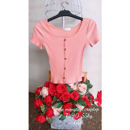 Áo mongtegi dáng croptop