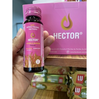 Nước Đông Trùng Hạ Thảo Hector Collagen hộp 10 chai