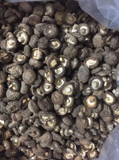 Combo măng, nấm, đỗ, mộc nhĩ