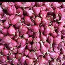 Hành tím và tỏi Lý Sơn .