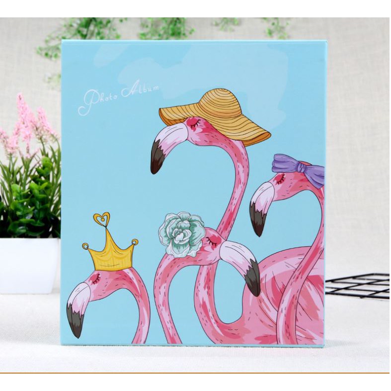 Album ảnh có hộp đựng 400 ảnh 7x10 (hoặc 6x9)
