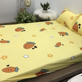 Ga chống thấn cotton củ cà rốt