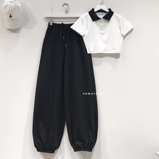 ÁO THUN CROPTOP PETTER PHỐI CỔ🥖