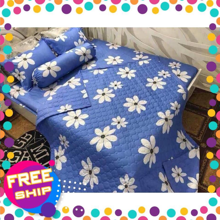 Xả kho cuối năm bộ grap giường cotton poly