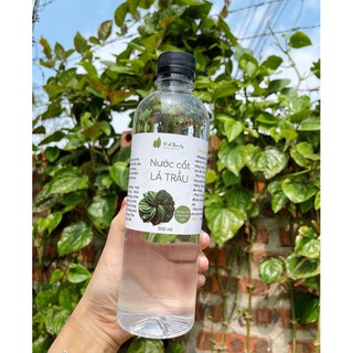 Nước cất lá trầu không 500ml
