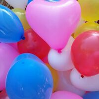 Shop Sữa Lâm Nguyễn