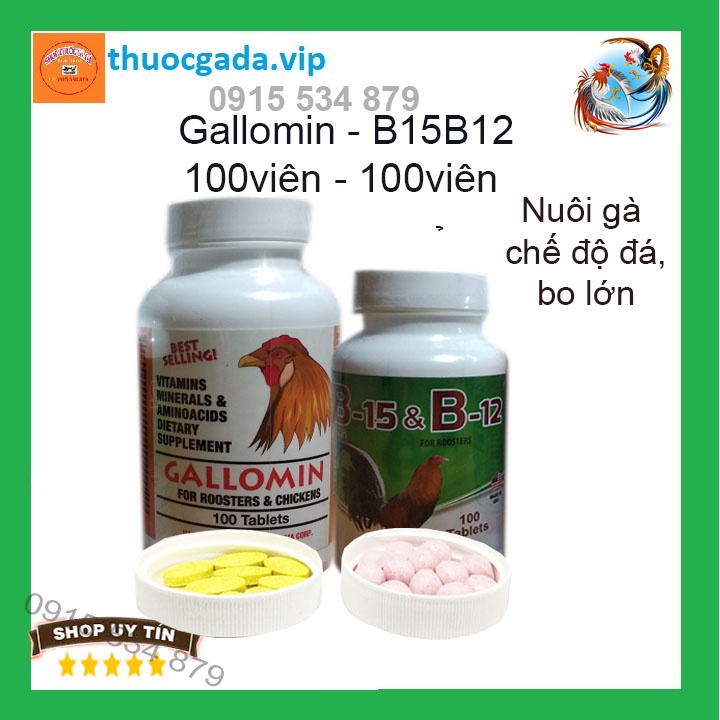 Gallomin vs B15 B12 nuôi gà chế độ đá