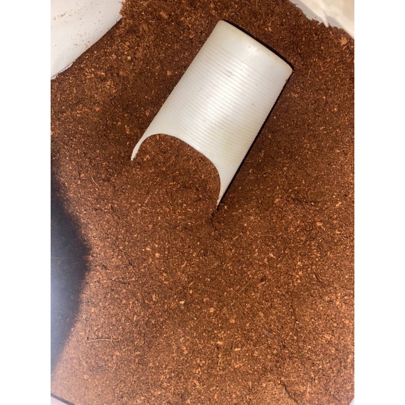 Cocopeat - Xơ Dừa Đã Xử Lý - Nguyên Liệu Trộn Đất Trồng Cây
