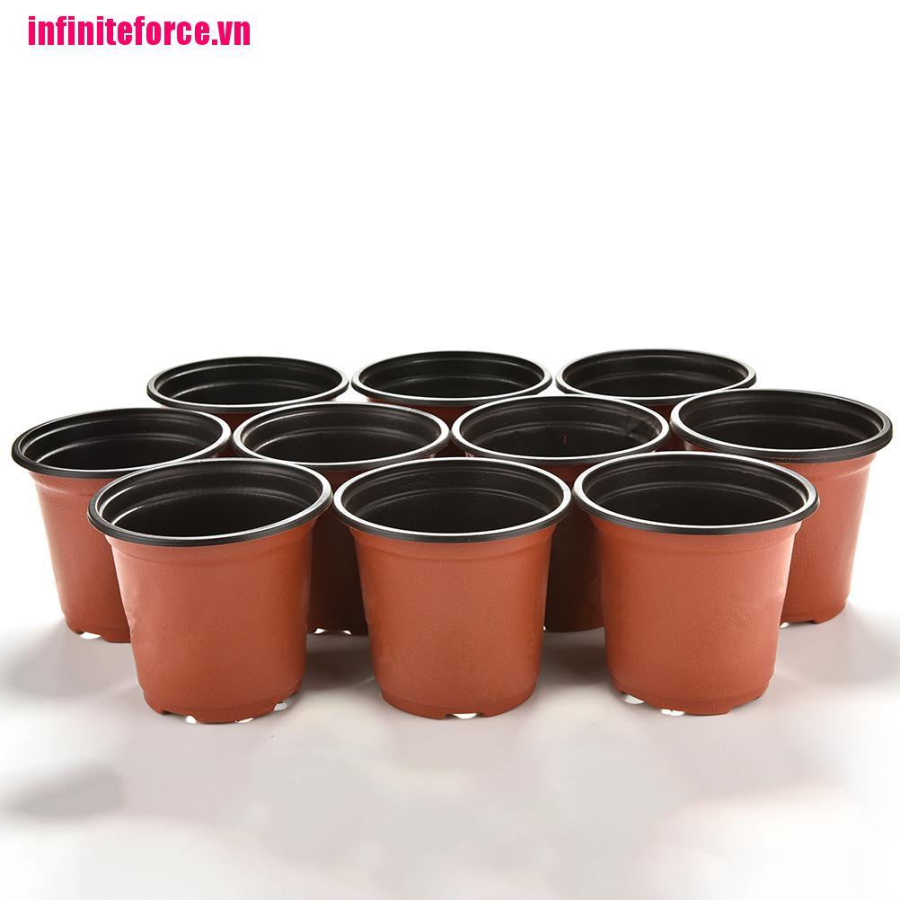 Vn 10 Bông Hoa Nhựa Mini
