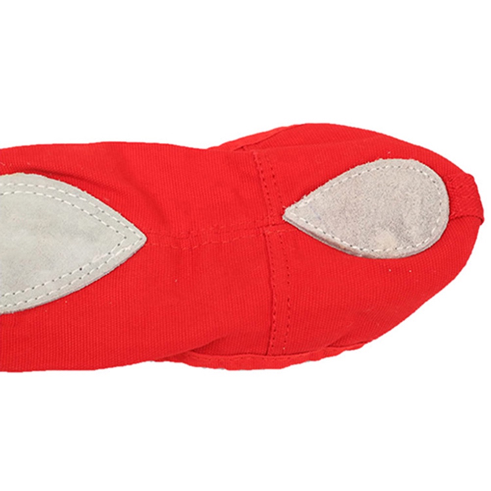 Giày múa ba lê vải canvas mềm mũi nhọn cho người lớn