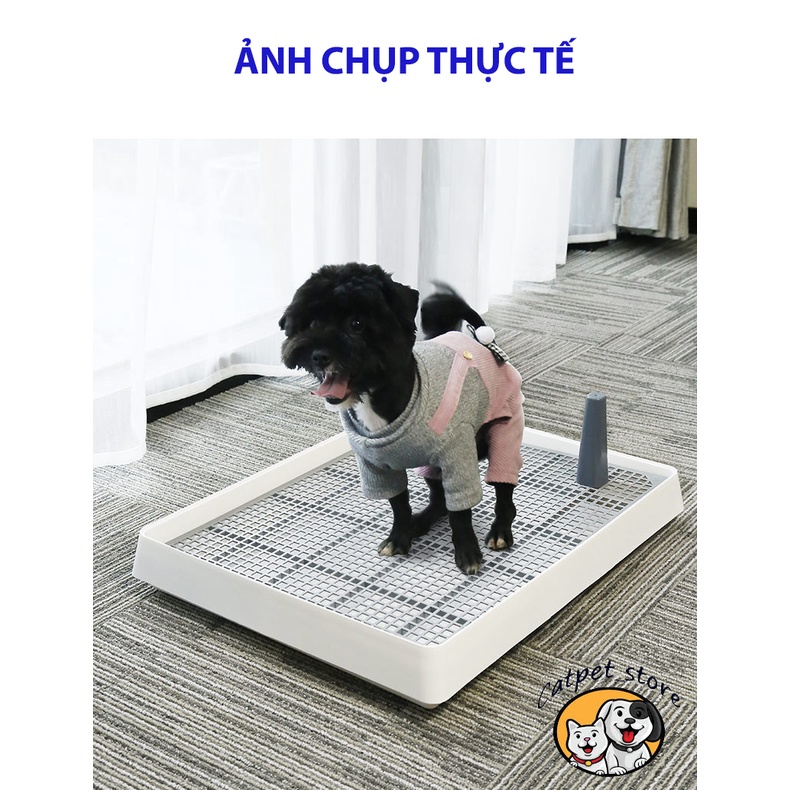 Khay vệ sinh cho chó mèo, khay huấn luyện chó đi vệ sinh đúng chỗ