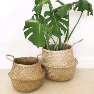 Giỏ cói đựng đồ, trồng cây các cỡ