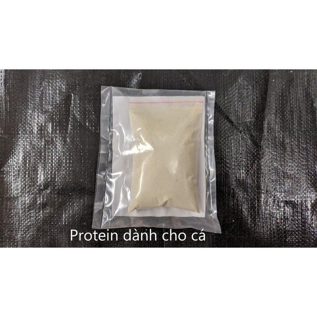 Protein dành cho cá