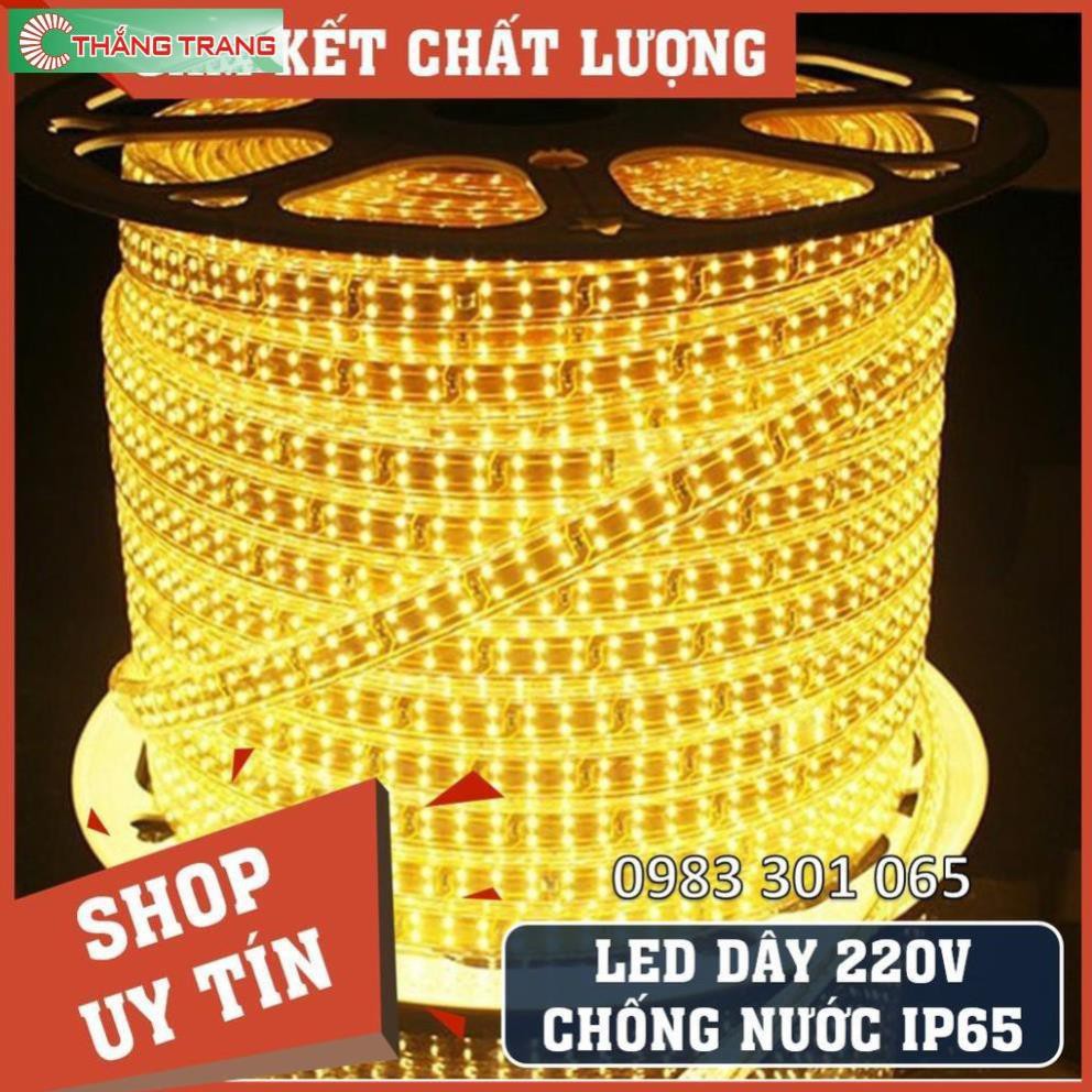 Đèn LED dây đôi 2835 & 5730 (5 mét/10 mét) - 2/3 Hàng - Siêu sáng - chống nước< TẶNG NGUỒN