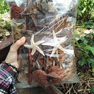 Minh Mạng Thang 1 con tắc kè