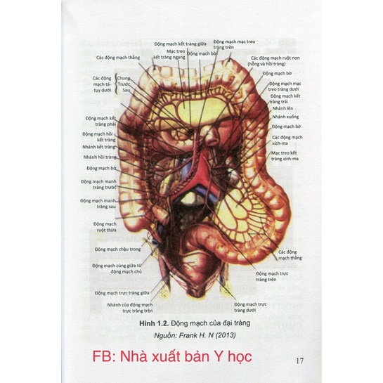 Sách - Phẫu thuật nội soi trong điều trị ung thư đại tràng