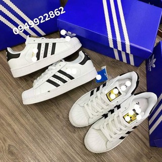 giày thể thao sneaker sò tem vàng basic 1:1