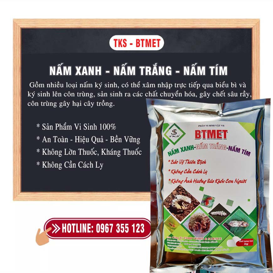 BTMET-NẤM 3 MÀU Ký Sinh Trừ Sâu Rầy Sinh Học - Gói 1kg